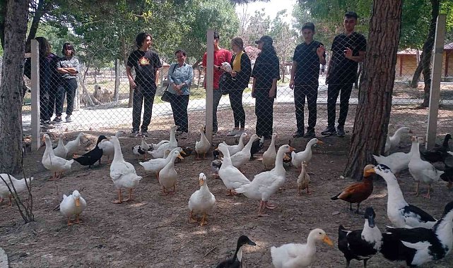 Evcil hayvan parkı çocukların gözde mekanı oldu