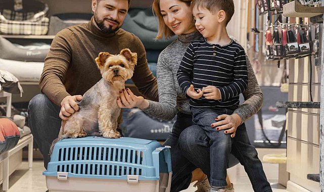 Evcil hayvanların güvencesi: 'Patim Güvende Sigortası'