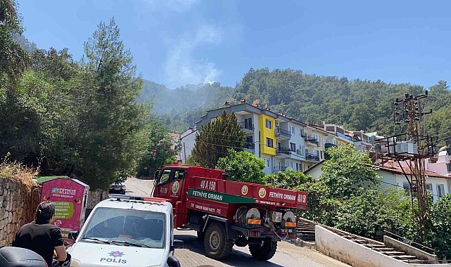 Fethiye ve Seydikemer'de çıkan orman yangınları söndürüldü