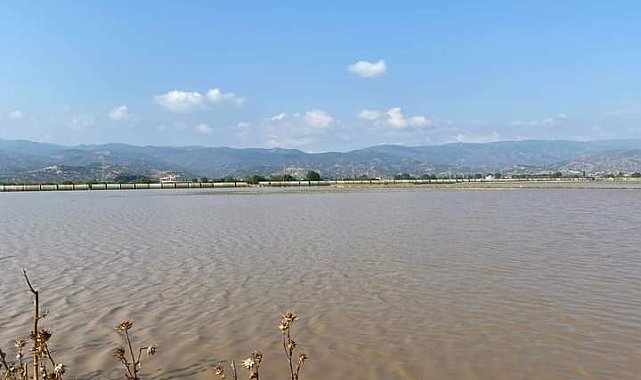 Geçen yıl kuraklık bu yıl da aşırı yağışlar üreticileri zora soktu