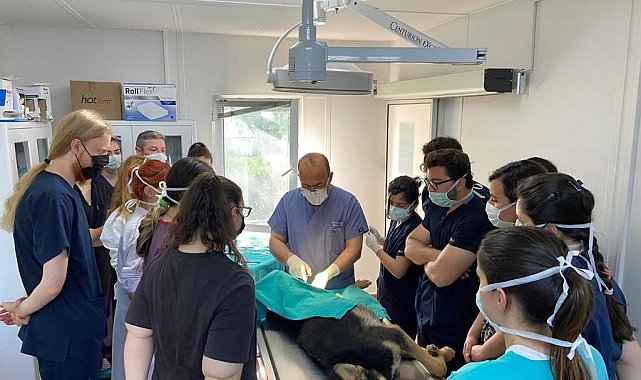 Geleceğin veteriner hekimleri Osmangazi&#039;de