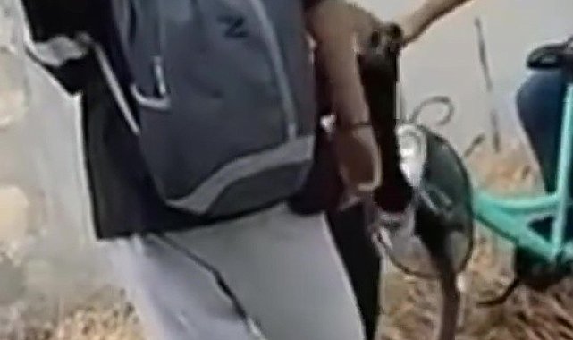 Gençlerin yaptığını gören gözlerine inanamadı