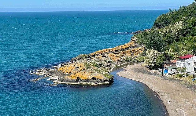 Görenler &#039;timsah&#039; sanıyor