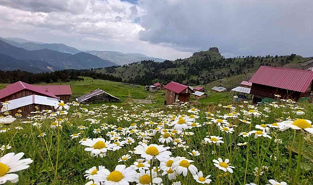 Gümüşhaneli doğaseverler Altınpınar Gölünde kamp kurdu