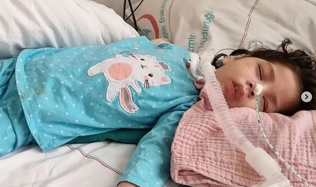 Hakan Aysev, Arya bebek için sahne alacak