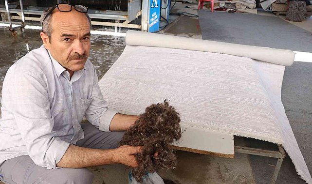 Halılar mikrop yuvası olmaması için 3 ayda bir temizlenmeli