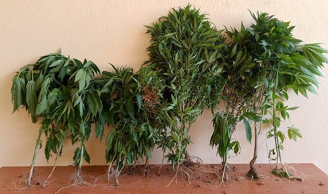 Hatay'da uyuşturucu operasyonu