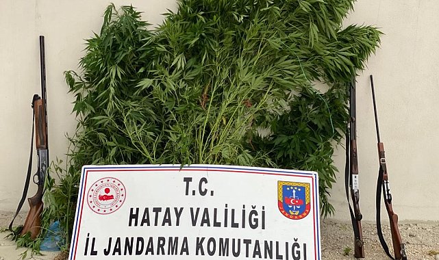 Hatay&#039;da uyuşturucu operasyonu