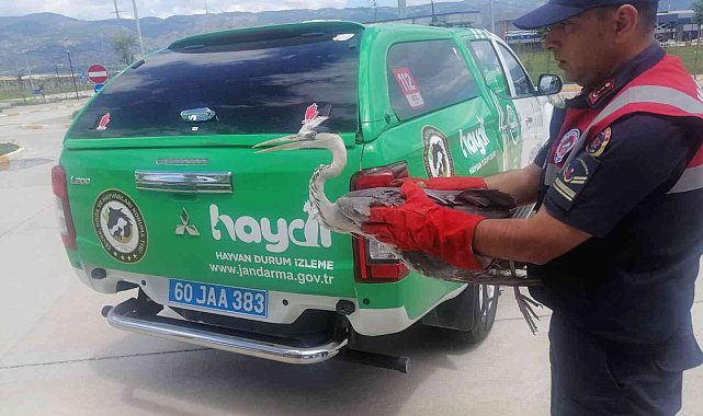 Havaalanında bulundu tedavi altına alındı