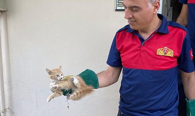 Havalandırma boşluğundaki kedi kurtarıldı