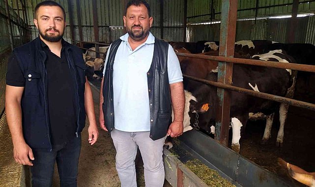 Hayvan dolandırıcılığına dikkat