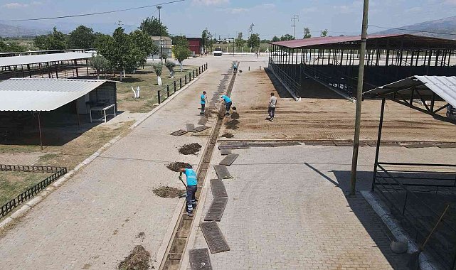 Hayvan Pazarı bayrama hazırlanıyor