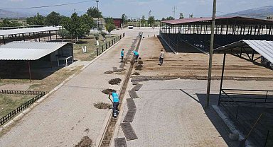 Hayvan Pazarı bayrama hazırlanıyor