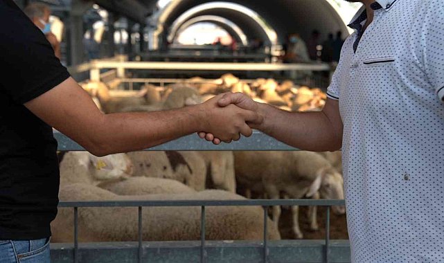 Hayvan pazarında padok kiralama ücretleri belirlendi