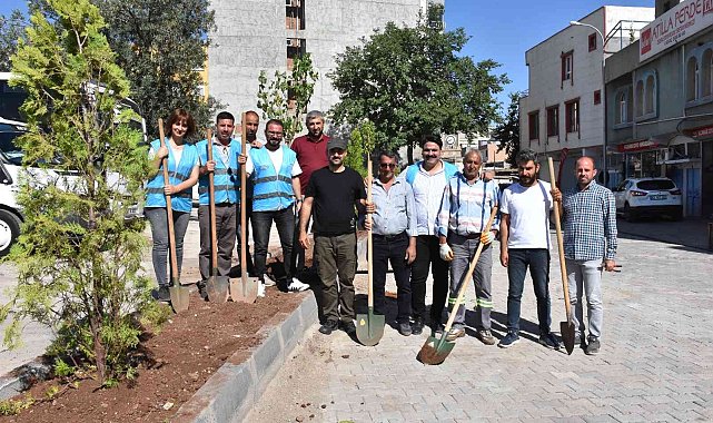 Hayvan severler çevre gününde ağaç dikti