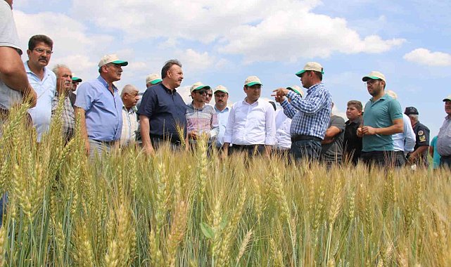 Hüyük&#039;te deneme üretimi yapılan &#039;Taner&#039; tohumu tanıtıldı