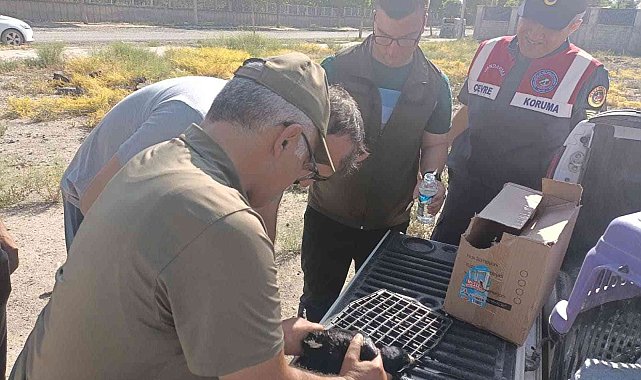 Iğdır&#039;da ayağı ipe dolanan karga kurtarıldı