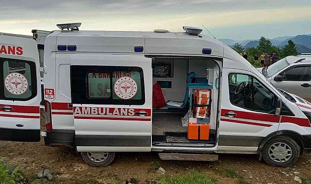 İneği ile birlikte uçuruma yuvarlanan kadın hayatını kaybetti