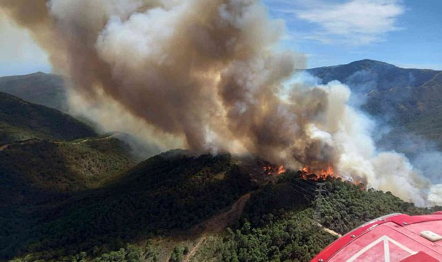 İspanya&#039;da orman yangını: 3 yaralı