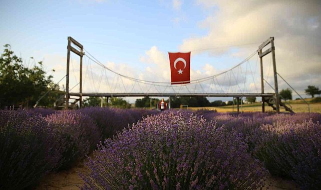 İstanbul'un yanı başındaki Tekirdağ'da mor günler başladı