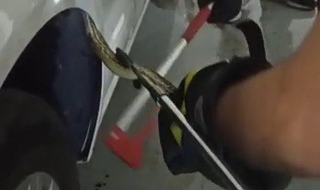 İtfaiye aracına giren yılanı yine itfaiyeciler çıkardı