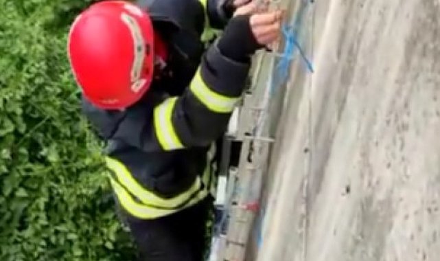 İtfaiye ekiplerinden &#039;tavuk kurtarma&#039; operasyonu