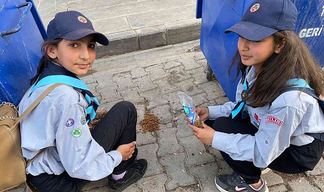 İzci öğrenciler sokak hayvanlarını besledi