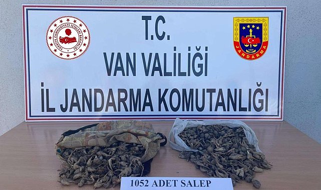 İzinsiz salep soğanı toplayana para cezası