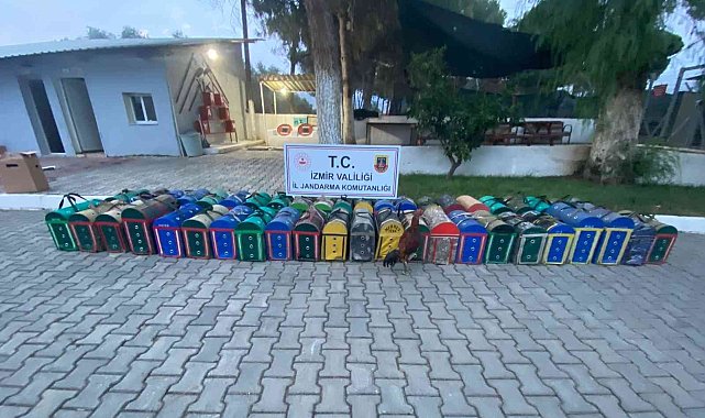İzmir'de horoz dövüşü yaptıran 46 şüpheliye işlem