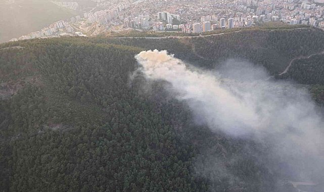 İzmir'de ormanlık alanda çıkan yangın söndürüldü