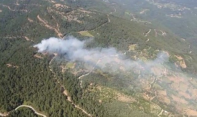 İzmir&#039;de ormanlık alanda yangın kontrol altında