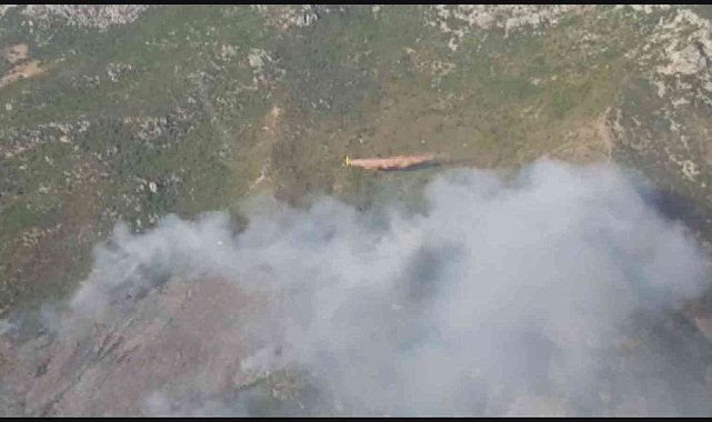 İzmir'deki orman yangını yaklaşık 15 saat sonra kontrol altına alındı