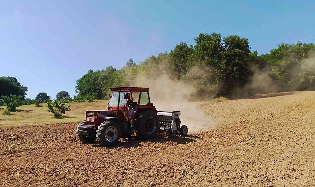 İzmit Belediyesi, silajlık yem tohumlarını toprakla buluşturdu
