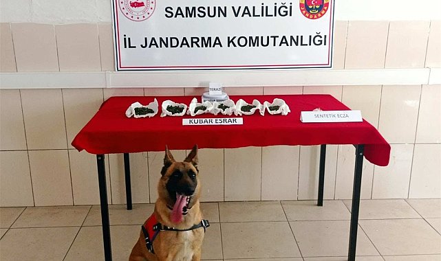 Jandarmadan uyuşturucu operasyonları: 37 gözaltı