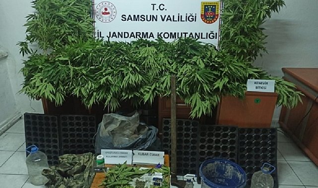 Jandarmadan uyuşturucu ve kaçakçılığa geçit yok