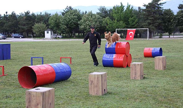Jandarmanın eğitimli köpeklerinin gösterisi alkış topladı