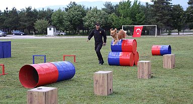 Jandarmanın eğitimli köpeklerinin gösterisi alkış topladı