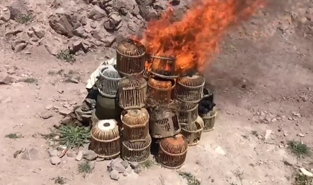 Kaçak avcıların kafesleri yakılarak imha edildi