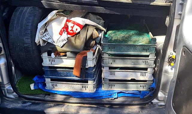 Kaçak kurbağa avcılarına 110 bin TL ceza