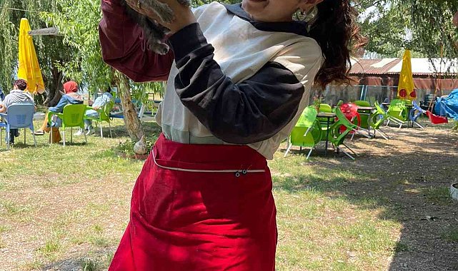 Kadın işletmeci motora sıkışan kediyi bahçesindeki kediler sayesinde kurtardı