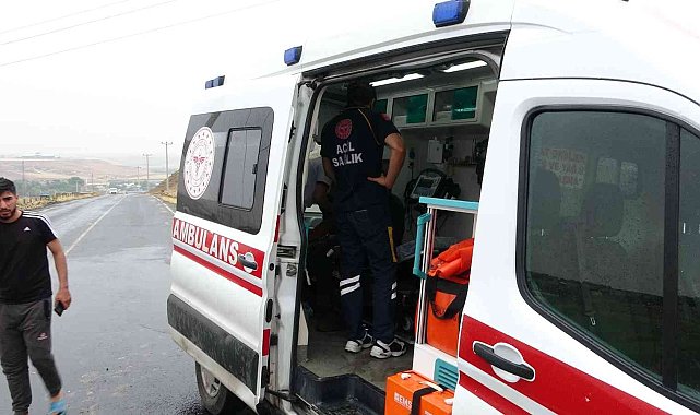 Kahvaltı yapmak için ağaç altına sığınan 6 çobana yıldırım düştü