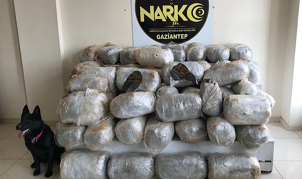 'Kahve' kamuflajı işe yaramadı; 72 kilo esrar ele geçirildi!