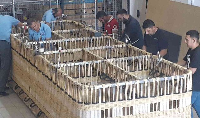 Kapadokya'da üretilen ellinci balonda, Kapadokya semalarında uçacak