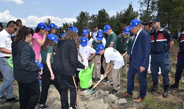 Karabük'te küle dönen orman dikilen fidanlarla yeşillenecek