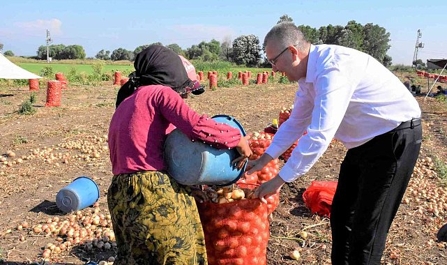 Karacabey&#039;de soğan hasadı bereketli başladı