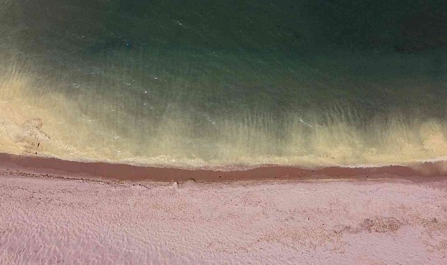 Karadeniz'deki renk değişimi 'Polen' kaynaklı