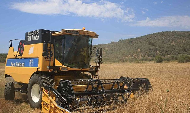 Karaova'da Karakılçık Buğdayı hasadı yapıldı