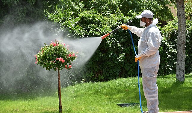 Karatay'da ilaçlama çalışmaları hız kazandı
