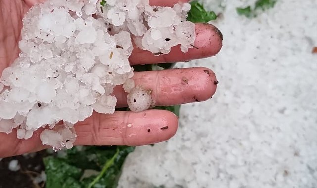 Karayolu ve tarım arazileri sel suları altında kaldı