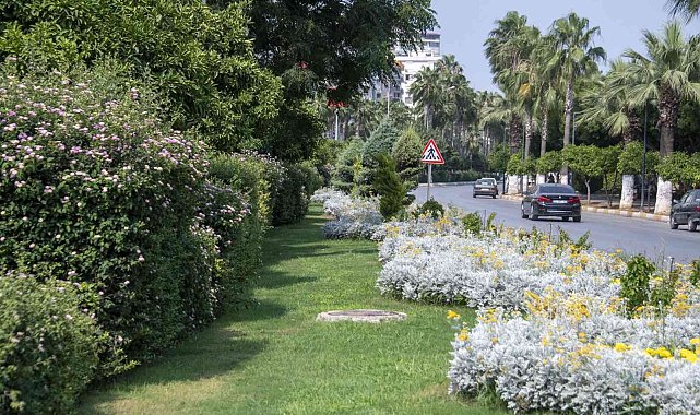 Kavşak ve refüjler artık daha yeşil